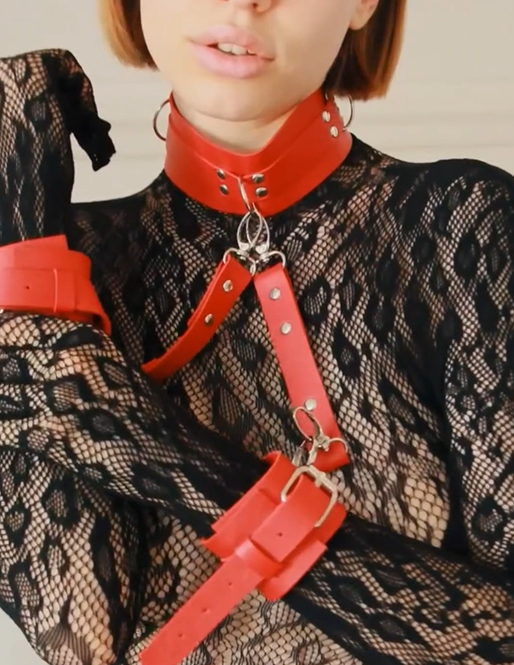 Sexy handcuffs, collars, and bondage