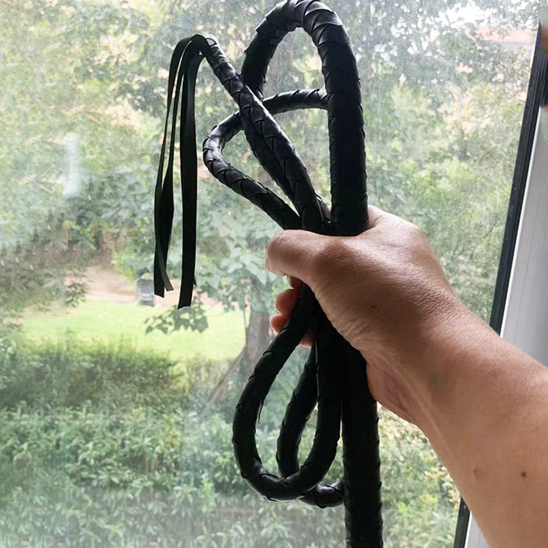 Sex Whip