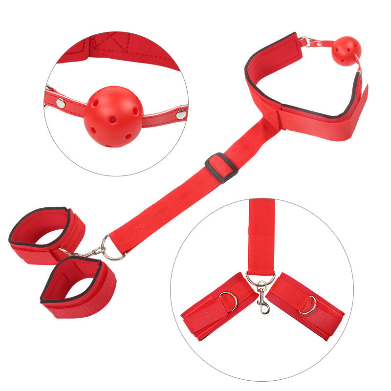 Sexual torture device back gag