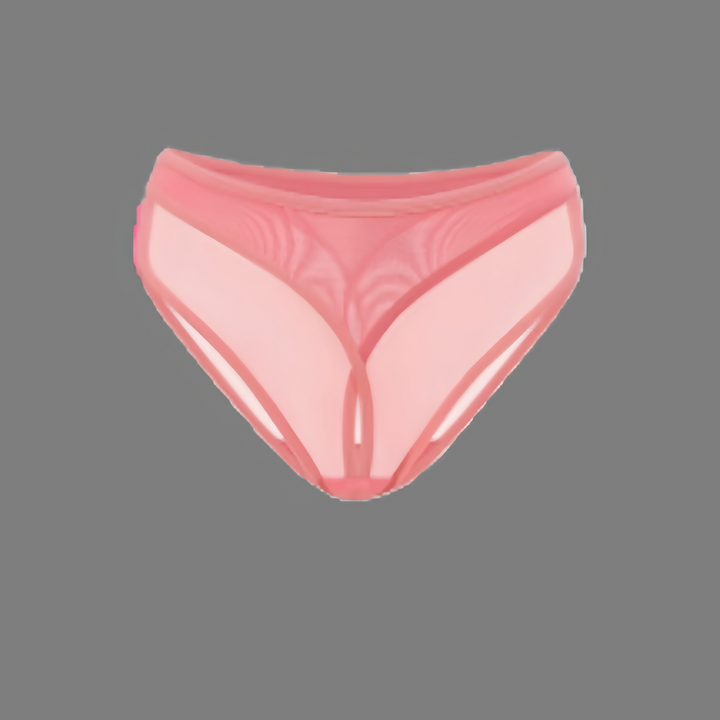 Bestselling sheer low-rise panties