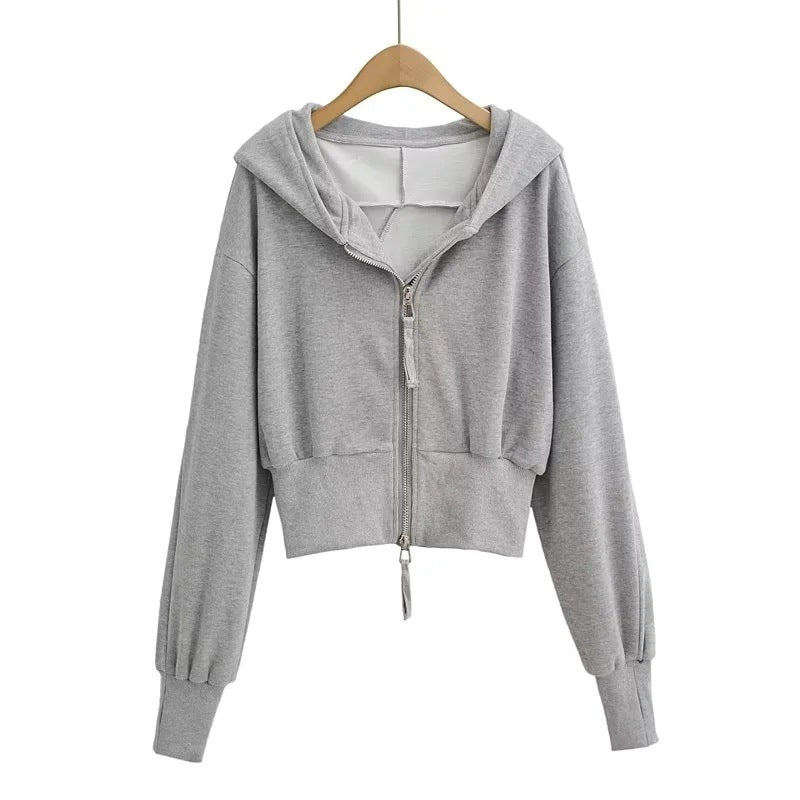 New Stylish Double-Zipper Hooded Sweatshirt (Spring/Autumn Style)