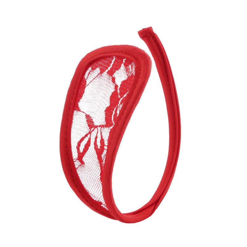 Sheer, sexy thong with a rounded front panel.